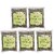 So Sweet Stevia Leaves Sugar Free Natural Sweetener Zero Calorie (Pack of 5) 25gm Each