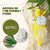 Aromahpure Camphor Cube 100% Pure & Organic Camphor Cube For Car Room And Bathroom Fresheners (Joyous Jasmine + Refreshing Lemon Grass)