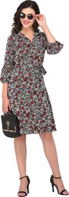 Purys Women Multicolor A Line Dress