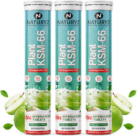 NATURYZ Plant KSM-66 For Muscle recovery Relieve Stress  Recovery (Green Apple Flavour) (3 x 15 Tablets)