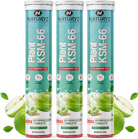 NATURYZ Plant KSM-66 For Muscle recovery Relieve Stress  Recovery (Green Apple Flavour) (3 x 20 Tablets)