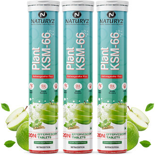 NATURYZ Plant KSM-66 For Muscle recovery Relieve Stress Recovery (Green Apple Flavour) (3 x 20 Tablets) NATURYZ Plant KSM-66 For Muscle recovery Relieve Stress Recovery (Green Apple Flavour) (3 x 20 Tablets)