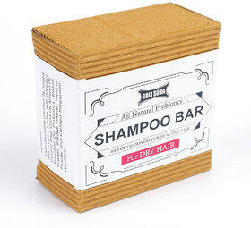 All Natural Probiotics Shampoo Bar for Dry Hair - 90 g (Pack Of 1)