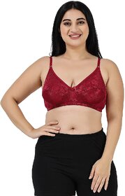 Women Half Coverage Non Padded net Bra(Maroon)