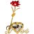 Eastern Club Red Rose With Photo Frame No Artificial Flower