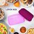 Unbreakable Divine Leak Proof Plastic Lunch Box Food Grade Plastic BPA-Free 2 Containers with Spoon