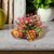 The Allchemy Terracotta Tortoise Flower Vase