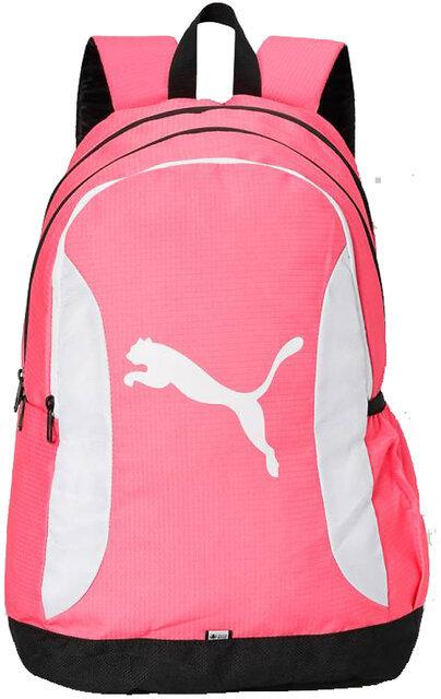 Puma bags sale shopclues