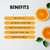 The Menshine Combo Kit Vitamin C Face Wash  Moisturizing Body Lotion (100Ml Each) (2 Items In The Set)