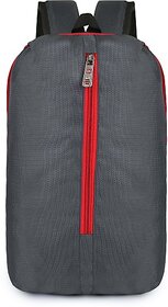 Smal-Grey 20 L No Backpack (Grey)