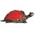 The Allchemy Turtle red