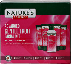 Natures Essence Gentle Fruit Facial kit