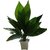 Decorative Artificial Money Plant Pot with Green Leaves for Home Living Room Bedroom
