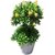 Artificial Plants Fake Mini Pot Plant Small Greenery Decor for Indoor Home Farmhouse Aesthetic Bedroom