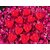 AAMU MOON Heart Shaped Rose Scented Floating Candles For Diwali, Valentine Day and Special Events - Set of 30 Piece, Red