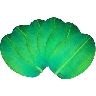 Revexo Rectangular Pack Of 6 Table Placemat (Green, Pvc) Revexo Rectangular Pack Of 6 Table Placemat (Green, Pvc)