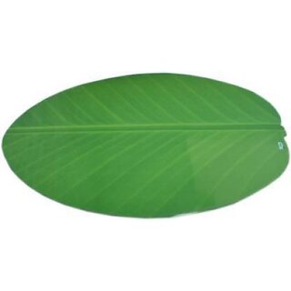 Revexo Rectangular Pack Of 6 Table Placemat (Green, Pvc) Revexo Rectangular Pack Of 6 Table Placemat (Green, Pvc)