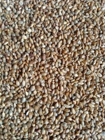 Uzhavan Unavu - Nattu Malli / Coriandrum seeds (Small) - 500 Gms