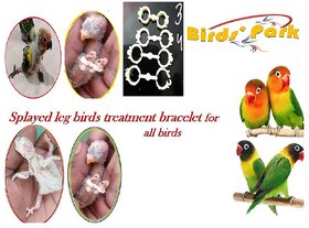 Splayed Leg Birds Treatment Bracelet Size3,4,5,67mm(10 pcs Set)-Good for Baby Canary, Lovebirds Cockatiel  Conure  C