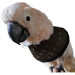 Cockatoo E Collar  Bird Collars - Elizabeth Collars - Good for Cockatoo to Prevent Feather Plucking - 2 pcs