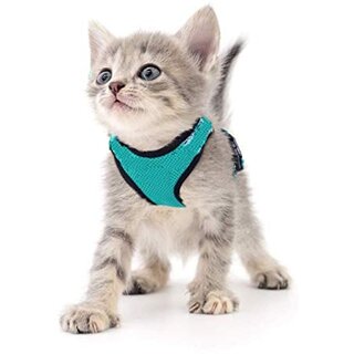 Kitten-Cat Puppy SizeSmall - Cat Nylon Harness with Lease Adjustable - Export Quality- Please Check Size Before Buying