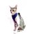 Kitten-Cat Puppy SizeSmall - Cat Nylon Harness with Lease Adjustable - Export Quality- Please Check Size Before Buying