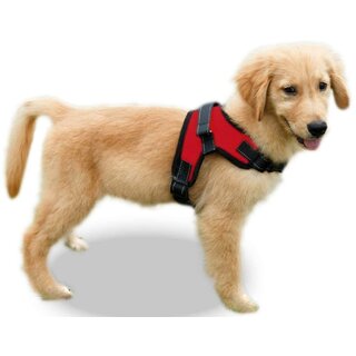                       Dog Body Harness with Lease, No-Pull Dog Puppy Harness with Handle, Calming Adjustable Sport Dog Training Walking Hiking                                              