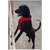 Dog Body Vest Harness with nylon heavy ropeSize  Large Good for Labrador Heavy Durable for Long time