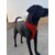 Dog Body Vest Harness with nylon heavy ropeSize  Large Good for Labrador Heavy Durable for Long time