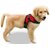 Dog Body Harness with Lease, No-Pull Dog Puppy Harness with Handle, Calming Adjustable Sport Dog Training Walking Hiking