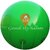 GANESH SKY BALLOON Green Big Advertising PVC Sky Balloon (10x10 Feet)  (Green)