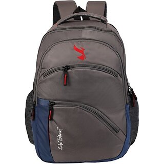 15.6 Inch Laptop Backpack Grey Blue bags 38 L Laptop Backpack (Grey, Blue)