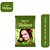 Neeta 100% Pure Natural & Organic Henna For Hair Color & Hair Care 150g (Pack of 2) , Natural Brown
