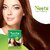 Neeta Natural Herbal Henna powder for hair with 5 herbs 15 g (Pack Of 10) (150 g)