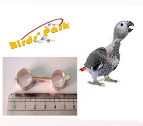 Grey Parrot Splayed Leg Bird Treatment Bracelet German Designed - Good for Baby/Adult Grey Parrot