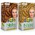 Nisha Pack Golden Blonde & Honey Blonde (60gm + 90ml + 18ml Conditioner) , 8.1 Golden Blonde + 7.3 Honey Blonde
