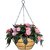 GARDEN DECO 10 INCH Coir Hanging Basket with Chain, Flat Base. (25x25x12.5 cm, 1 Pc) Coir Hanging Pots Home Garden