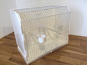 Bird Canary cage-Exibition cage Imported - Good for cage for Canary Birds' Park