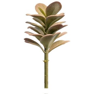                       GARDEN DECO Fake Succulent Plant (1 PC)                                              