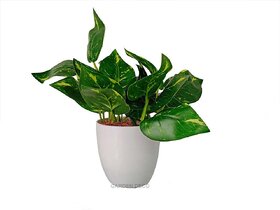 GARDEN DECO Artificial Potted Plant for Home and Office Dcor (High Real Appearance) (1 PC)