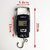Kudos Enterprise Pocket Electronic Weighing Scale, Digital 50 Kg Weighing Scale Heavy Duty Portable