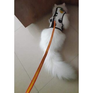 Cat Halter with Nylon Lease Size 16 - (Neck Size 30cm circumferences x 24 cm Length)