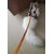 Cat Halter with Nylon Lease Size 16 - (Neck Size 30cm circumferences x 24 cm Length)