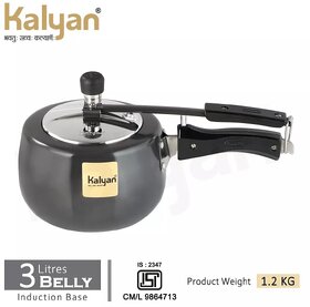 Kalyan KI3BIG 3L Induction Base