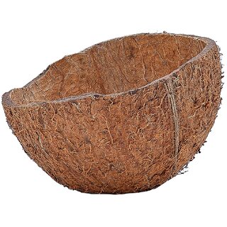 Coconut Shell half (Pack of 75 pieces)
