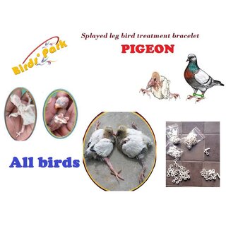                       Splayed Leg Birds Treatment Bracelet for Pigeons, Cockateils, Parrot  Conure - 10 pcs BIRDS' PARK                                              