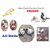 Splayed Leg Birds Treatment Bracelet for Pigeons, Cockateils, Parrot  Conure - 10 pcs BIRDS' PARK