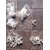 Splayed Leg Birds Treatment Bracelet for Pigeons, Cockateils, Parrot  Conure - 10 pcs BIRDS' PARK