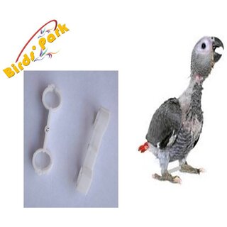 Splayed leg bird treatment bracelet for Baby Grey Parrot-2pcs Birds Park Splayed leg bird treatment bracelet for Baby Grey Parrot-2pcs Birds Park
