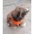 Puppy Dog Harness with nylon lease small size Birds' Park